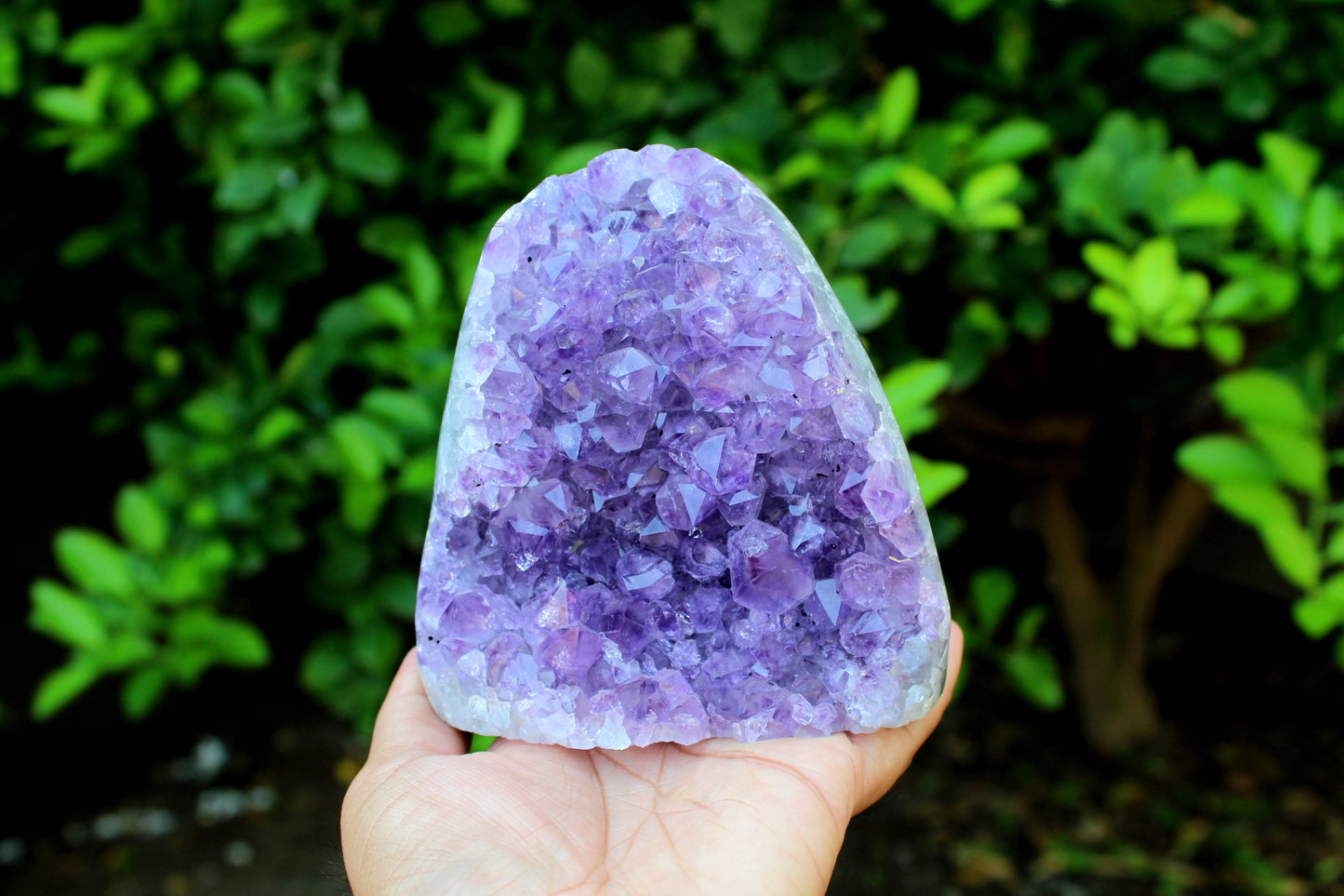 Natural Large Raw Amethyst Cluster