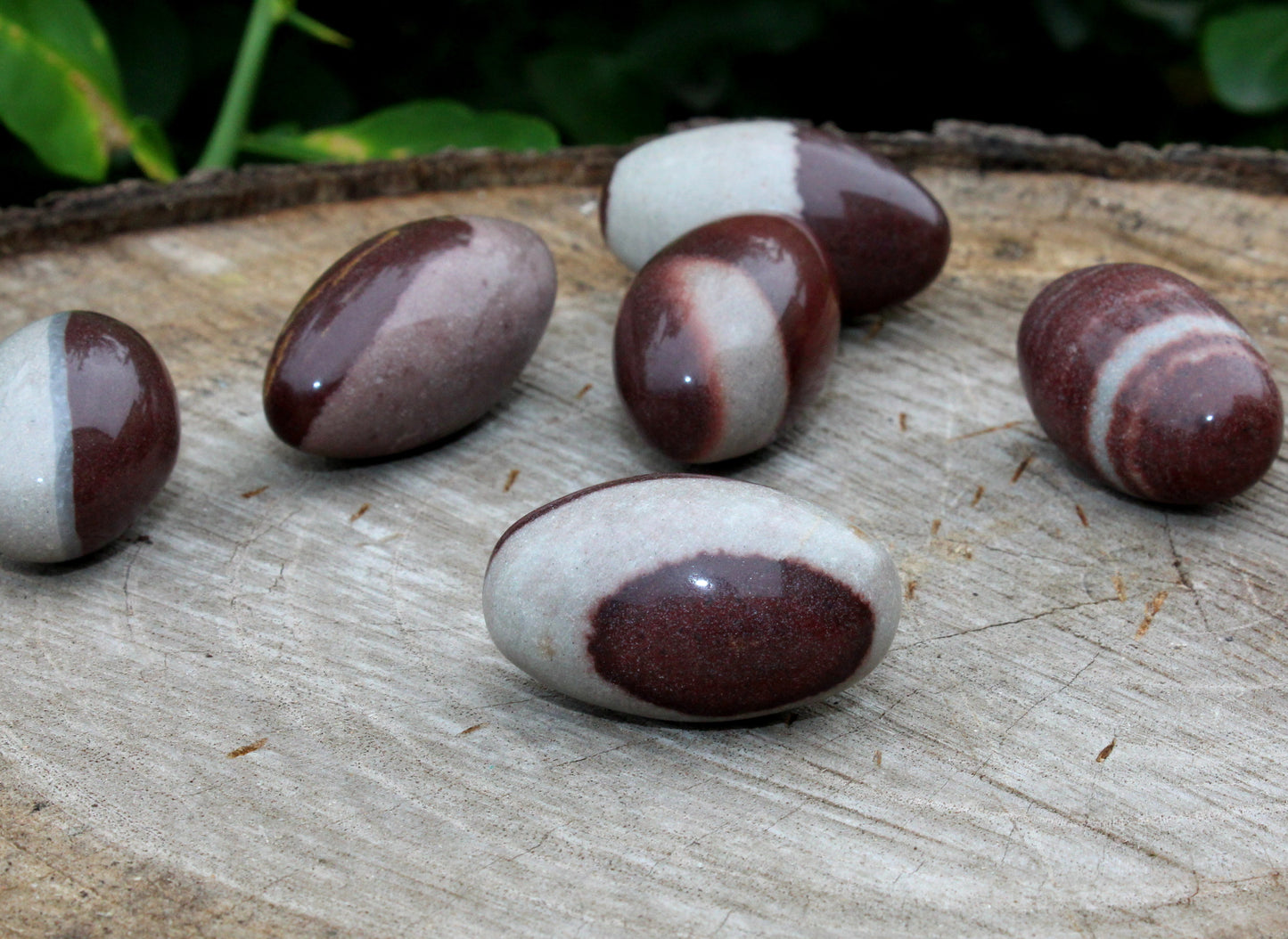 Natural Narmada shiva Lingam