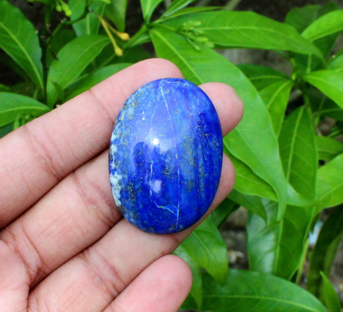 Natural Lapis Lazuli Oval Palmstone
