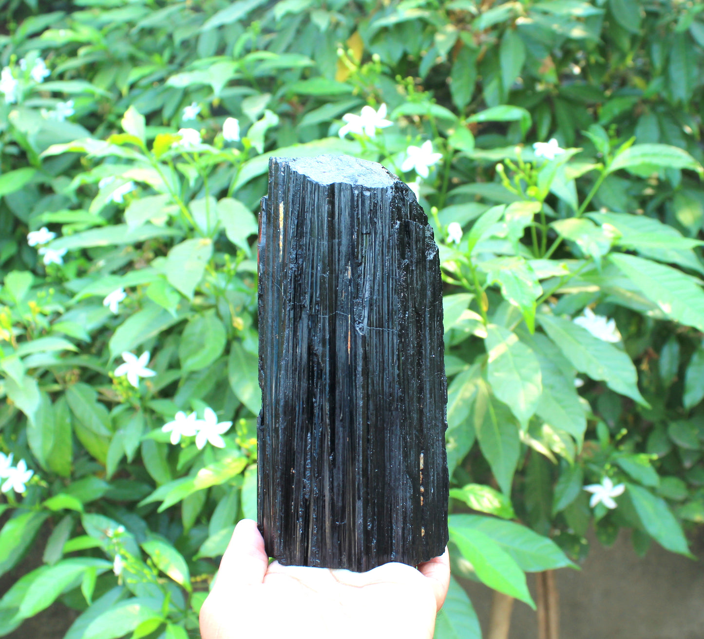 XL Black Tourmaline Raw Stone