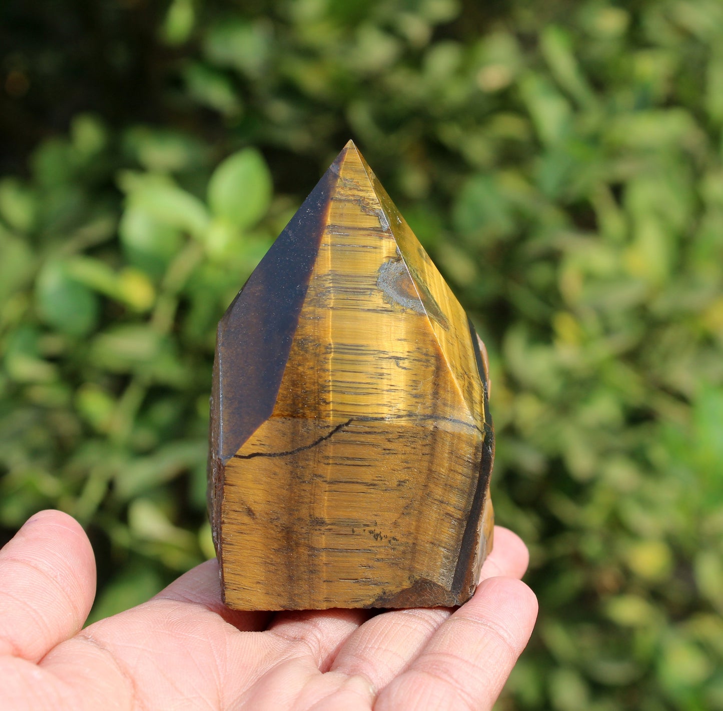 Natural Tiger Eye Raw Point
